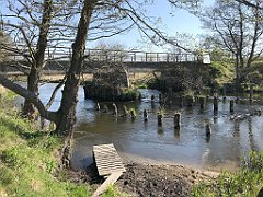 151_iP_20190430_IMG_3802