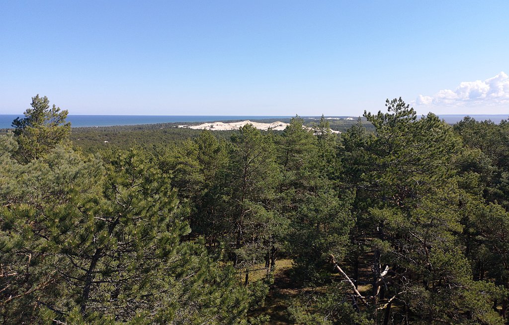 192_p20_IMG_20190505_105302.jpg - rrem