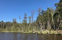 343_iP_20190505_IMG_3947