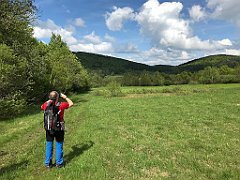 234_iP_190517_IMG_3964