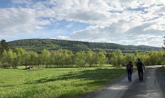 334_iP_190517_IMG_3969