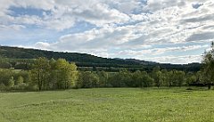 337_iP_190517_IMG_3973