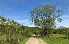 338_iP_190517_IMG_3974