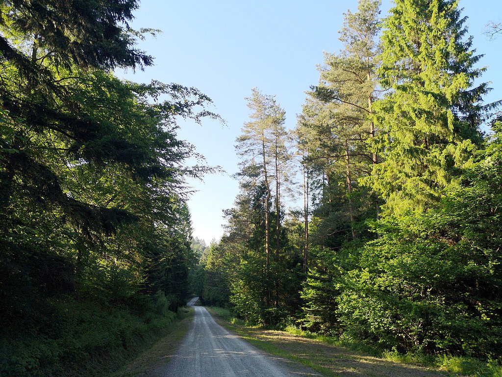 298_p20_IMG_20190610_181825.jpg - rrem