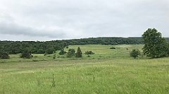 127_iP_190618_IMG_4036