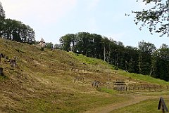 090_p20_IMG_20190618_183039