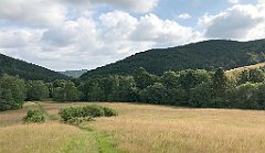 121_iP_190717_IMG_4167