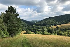 126_iP_190717_IMG_4170