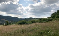 142_iP_190717_IMG_4180