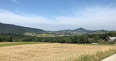 174_iP_190807_IMG_4314