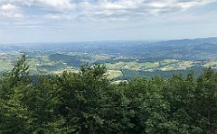 230_iP_190807_IMG_4326