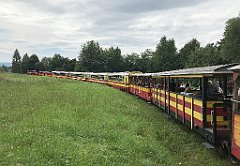 174_iP_190810_IMG_4438