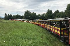 175_iP_190810_IMG_4439