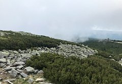 103_iP_190822_IMG_4482