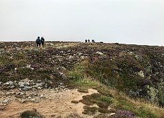 296_iP_190822_IMG_4513