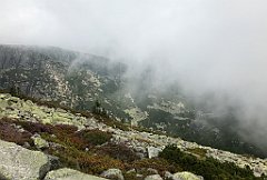 356_iP_190822_IMG_4531