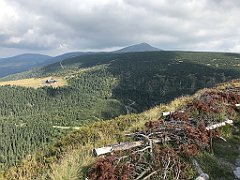 705_iP_190822_IMG_4599