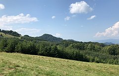 240_iP_190828_IMG_4686