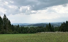 309_iP_190829_IMG_4731