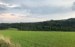 490_iP_190829_IMG_4765