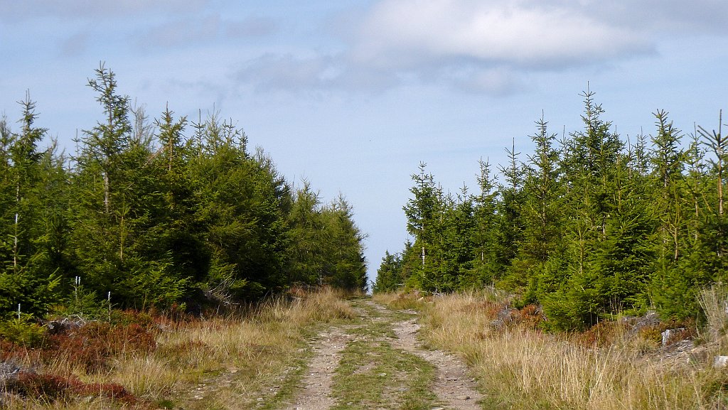 286_3D2_P1040869.JPG