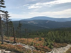 222_iP_190923_IMG_4891