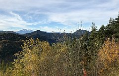 206_iP_191012_IMG_5141