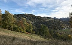 225_iP_191012_IMG_5146