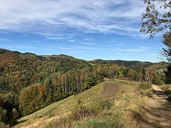 471_iP_191012_IMG_5201