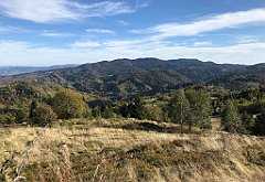 592_iP_191012_IMG_5223