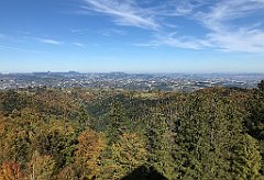 615_iP_191012_IMG_5256