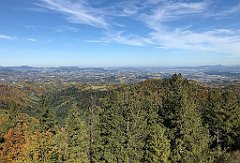 617_iP_191012_IMG_5258