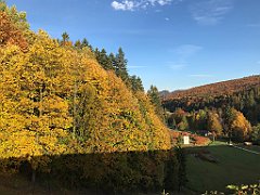 100_iP_191015_IMG_5339