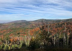 396_iP_191015_IMG_5360