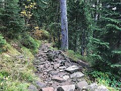 416_iP_191015_IMG_5372