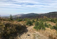 511_iP_191015_IMG_5400