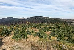 512_iP_191015_IMG_5401