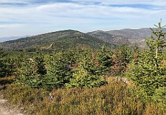 541_iP_191015_IMG_5407