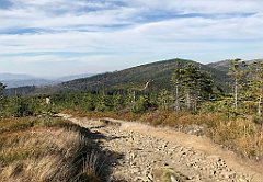 552_iP_191015_IMG_5410