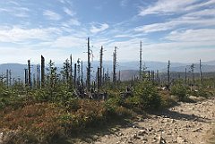 553_iP_191015_IMG_5413