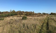 292_iP_191027_IMG_5553