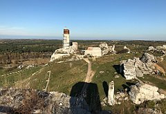 509_iP_191027_IMG_5597