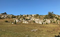 597_iP_191027_IMG_5629