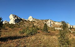 681_iP_191027_IMG_5644