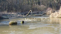 2019_03_04_Maczki_Bolina