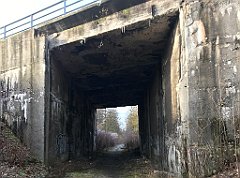 109_iP_200102_IMG_5663