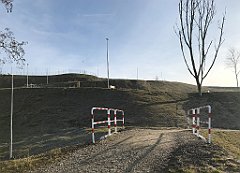 343_iP_200102_IMG_5741