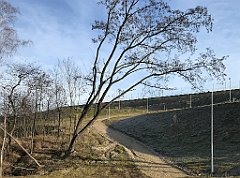 346_iP_200102_IMG_5742