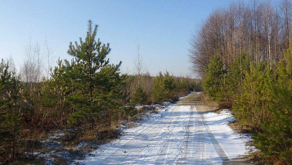 289_3D2_P1060629.JPG