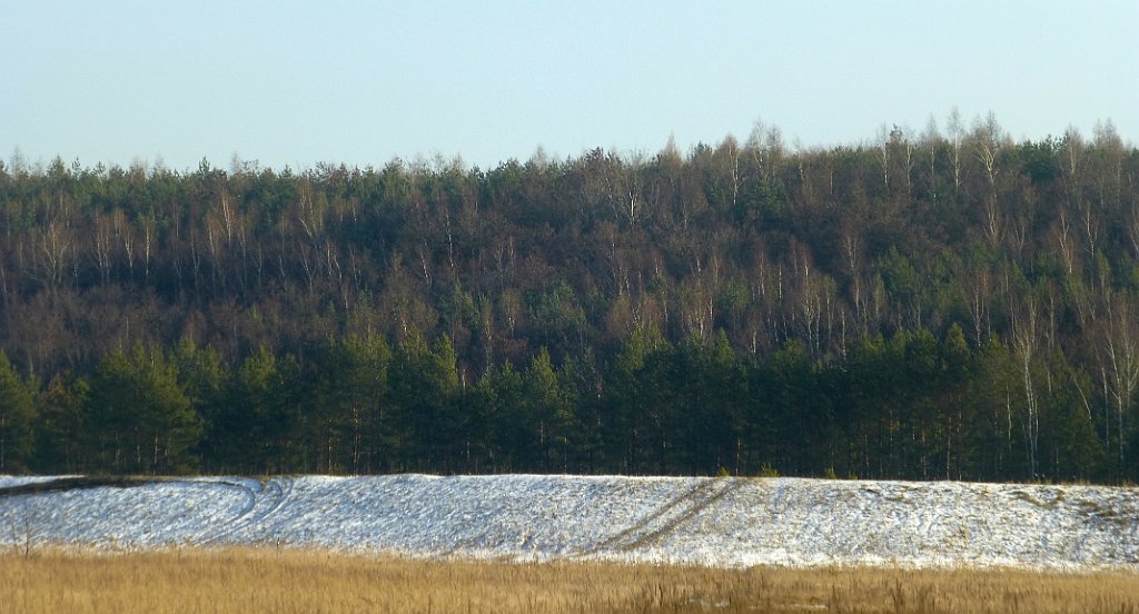 343_TZ_P1180142.JPG